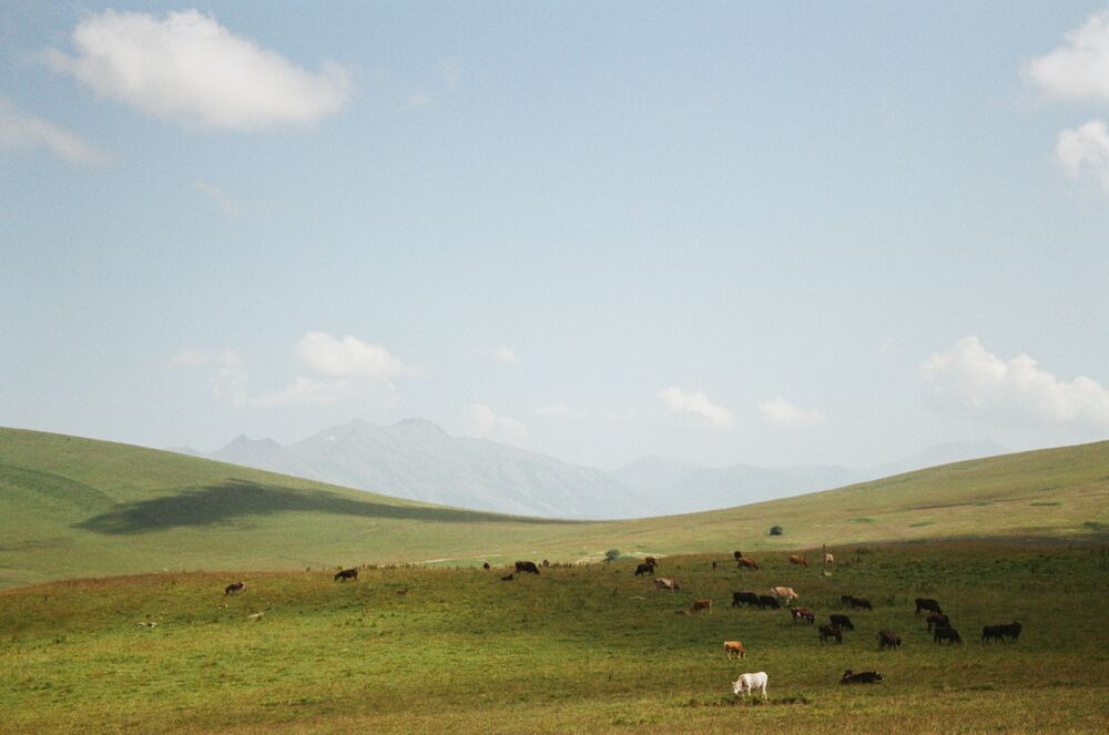 Photograph by Serafim Iarygin