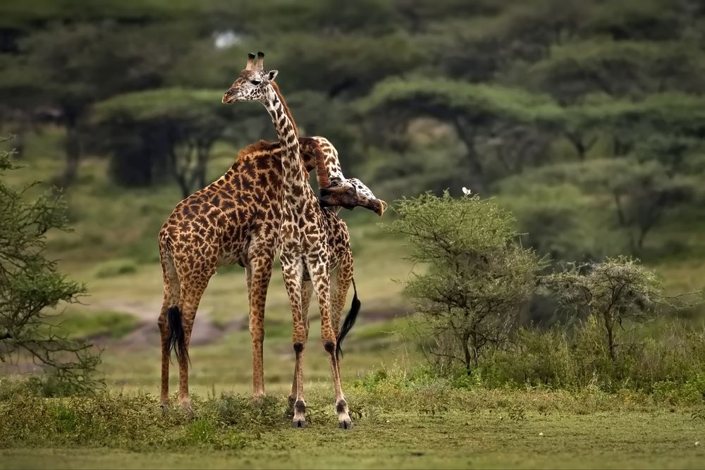 Photograph by Александр Перов