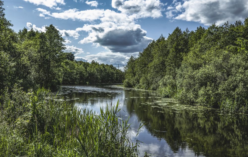 Photograph by Alexandra Chalova