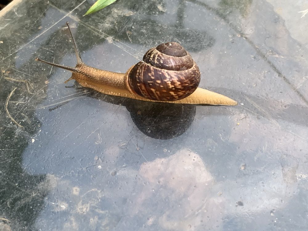 Photograph by Ирина Шпаковская