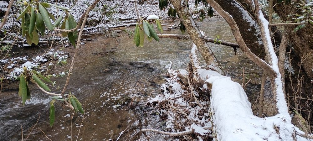 Фотография автора Silvija Janero