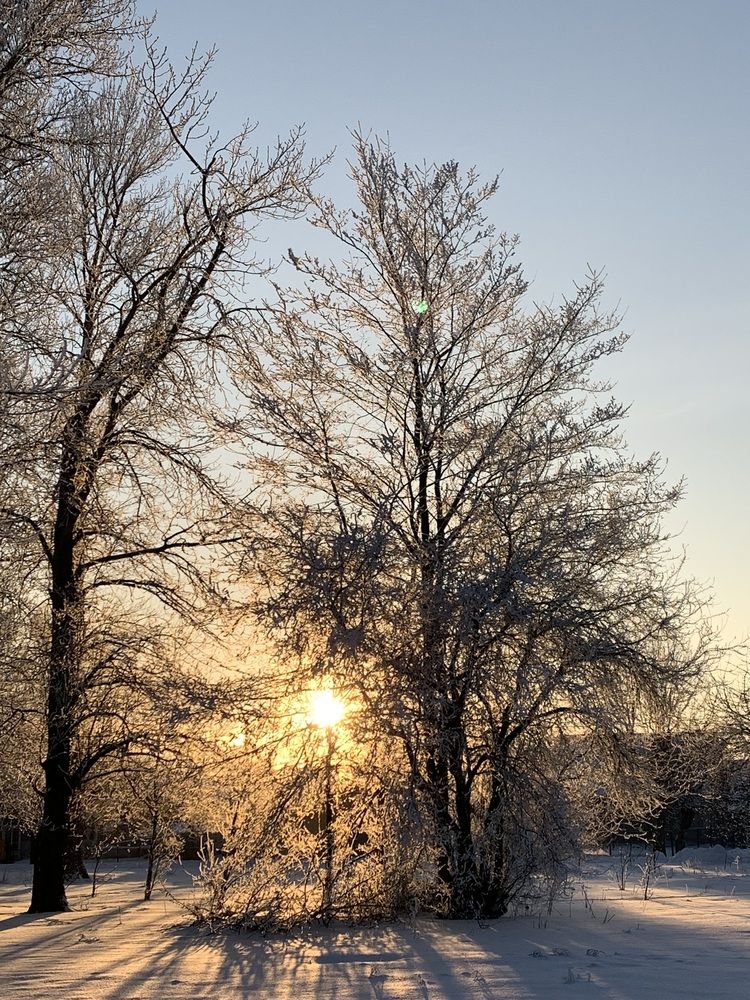 Photograph by Ирина Шпаковская