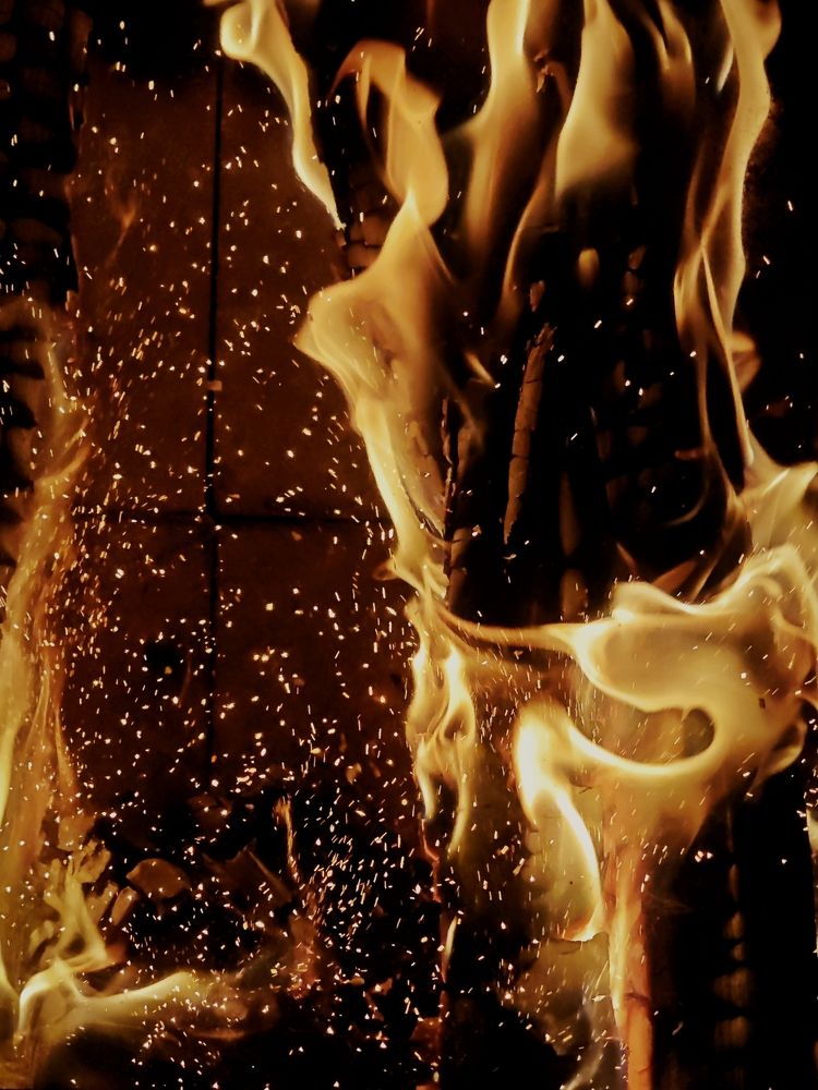 Photograph by Елена