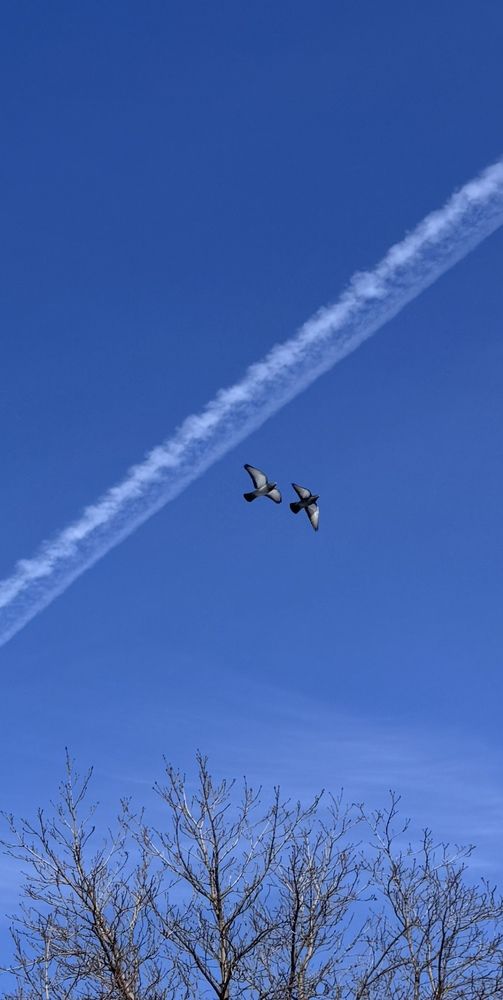 Photograph by Ксения