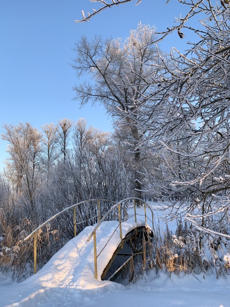 Photograph by Ирина Шпаковская
