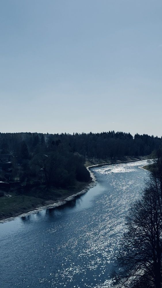Photograph by Светлана Родионова