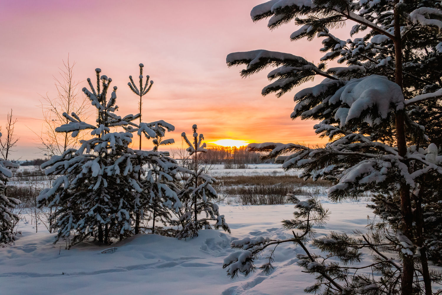 Закат в объятиях зимы Закат в объятиях зимы
