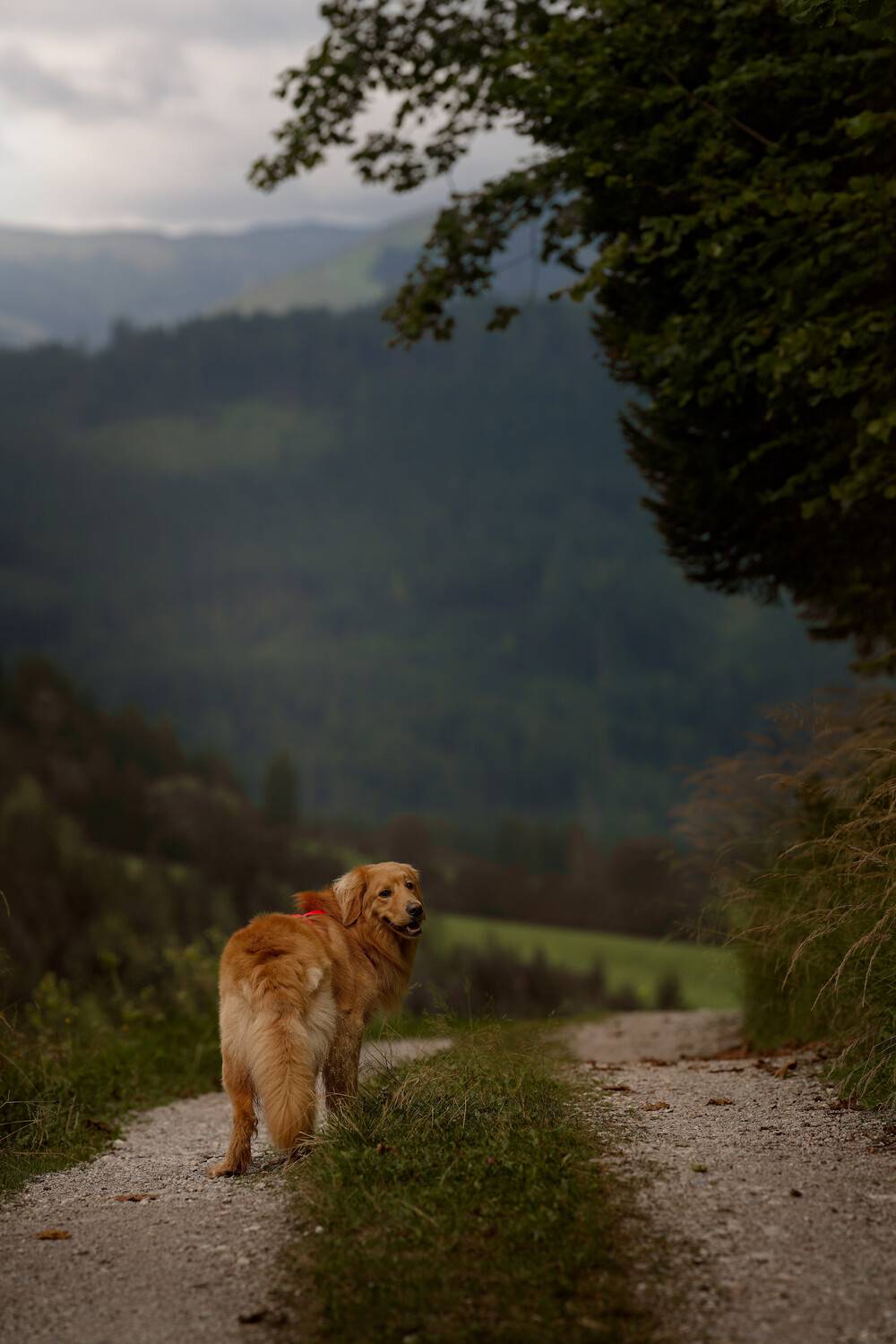 Photo #13345223