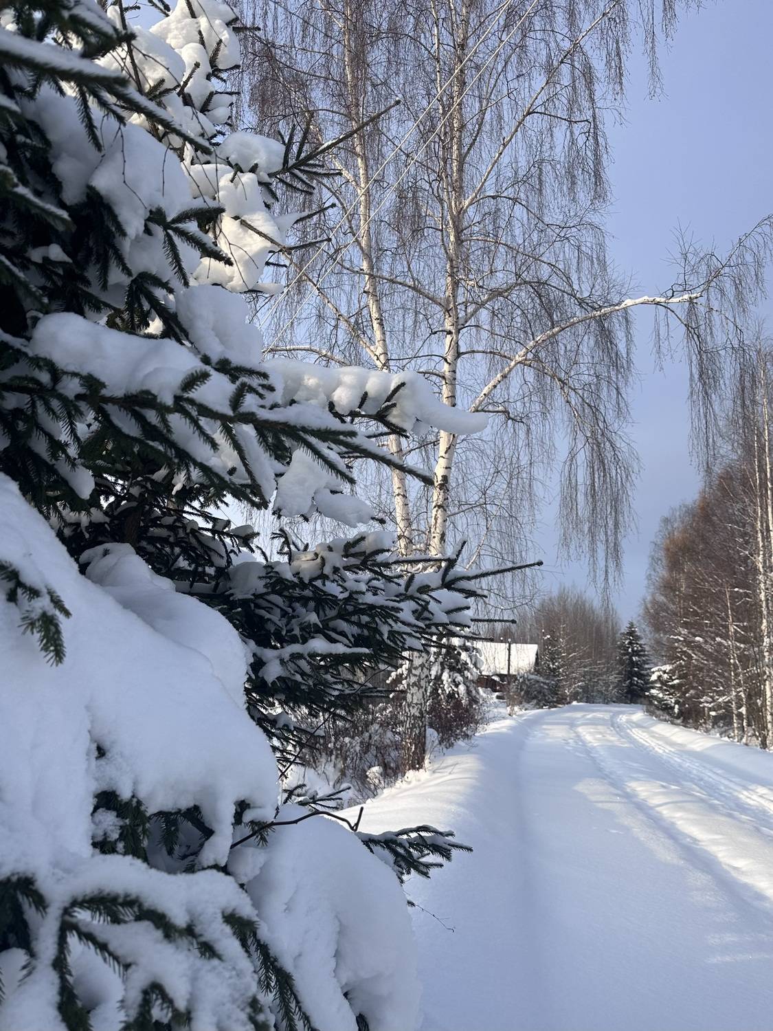 Зима в деревне