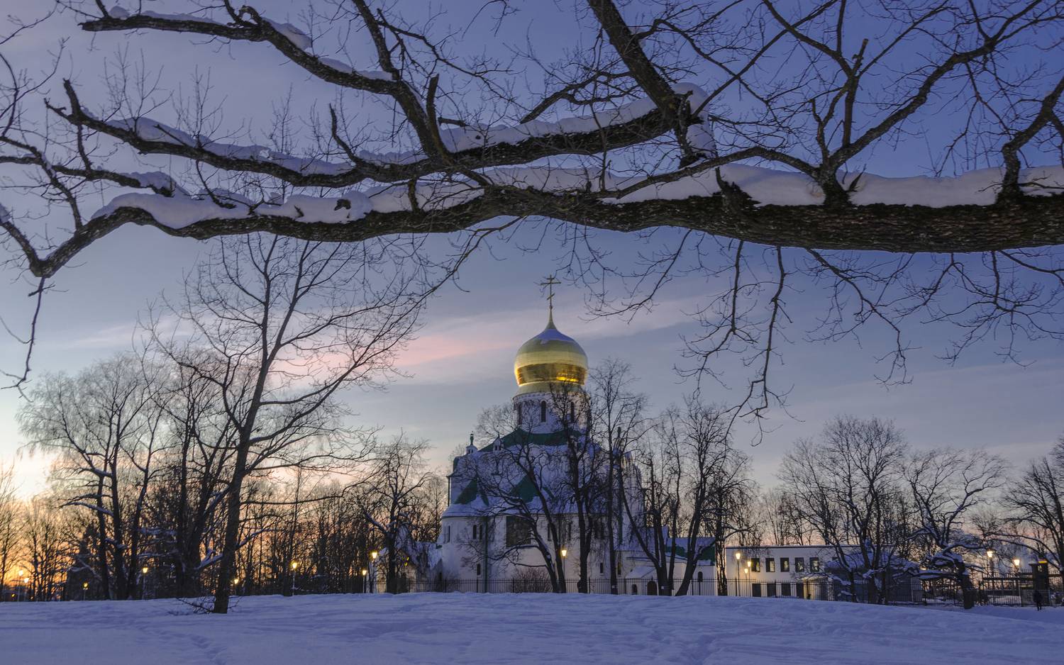 Фотография #13345260