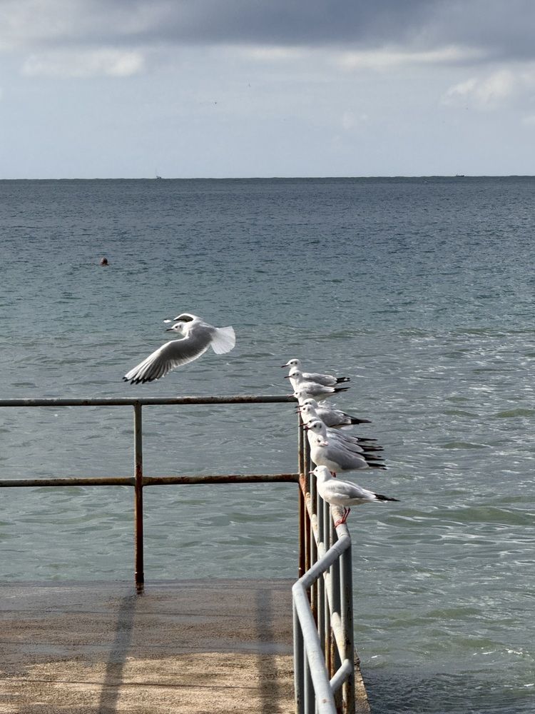 Photograph by Ксения