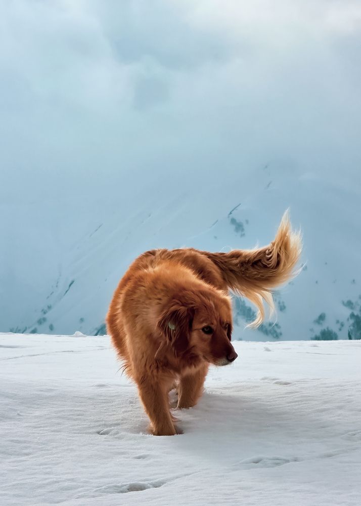 Photograph by Анастасия Алтабаева