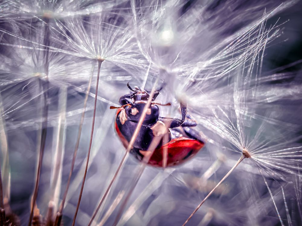 Photograph by Елена Макеева