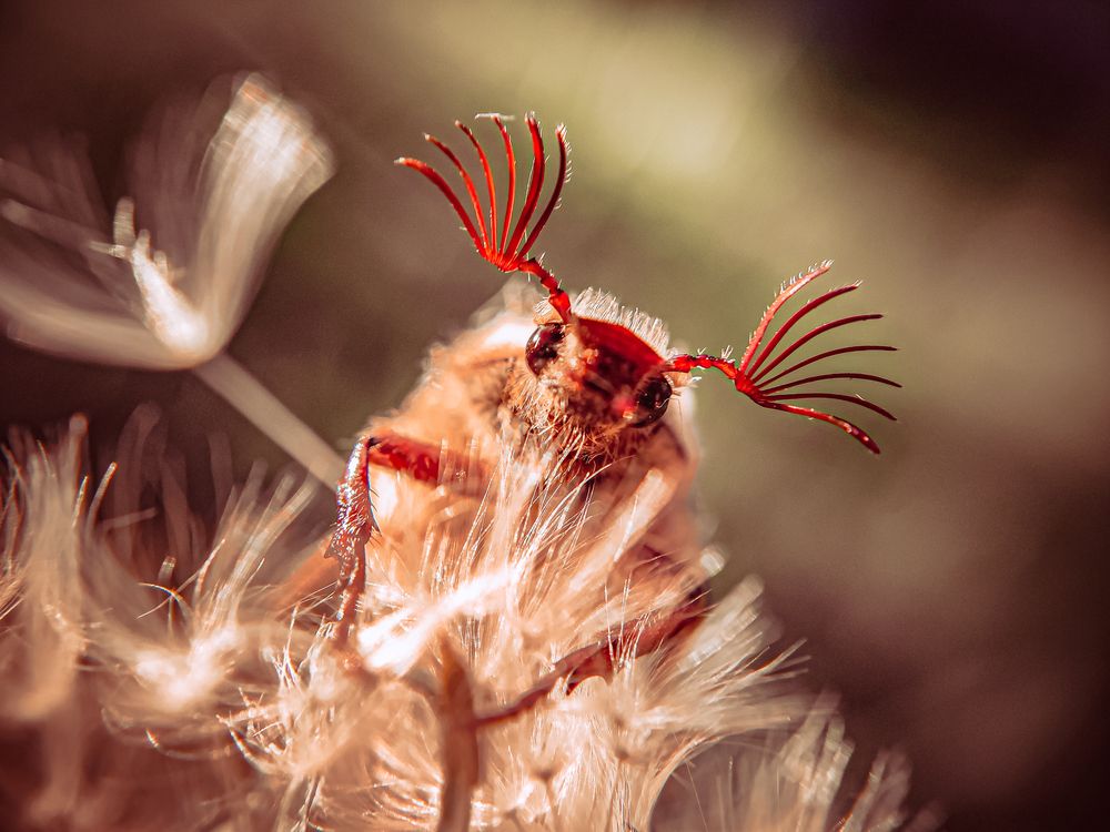 Photograph by Елена Макеева