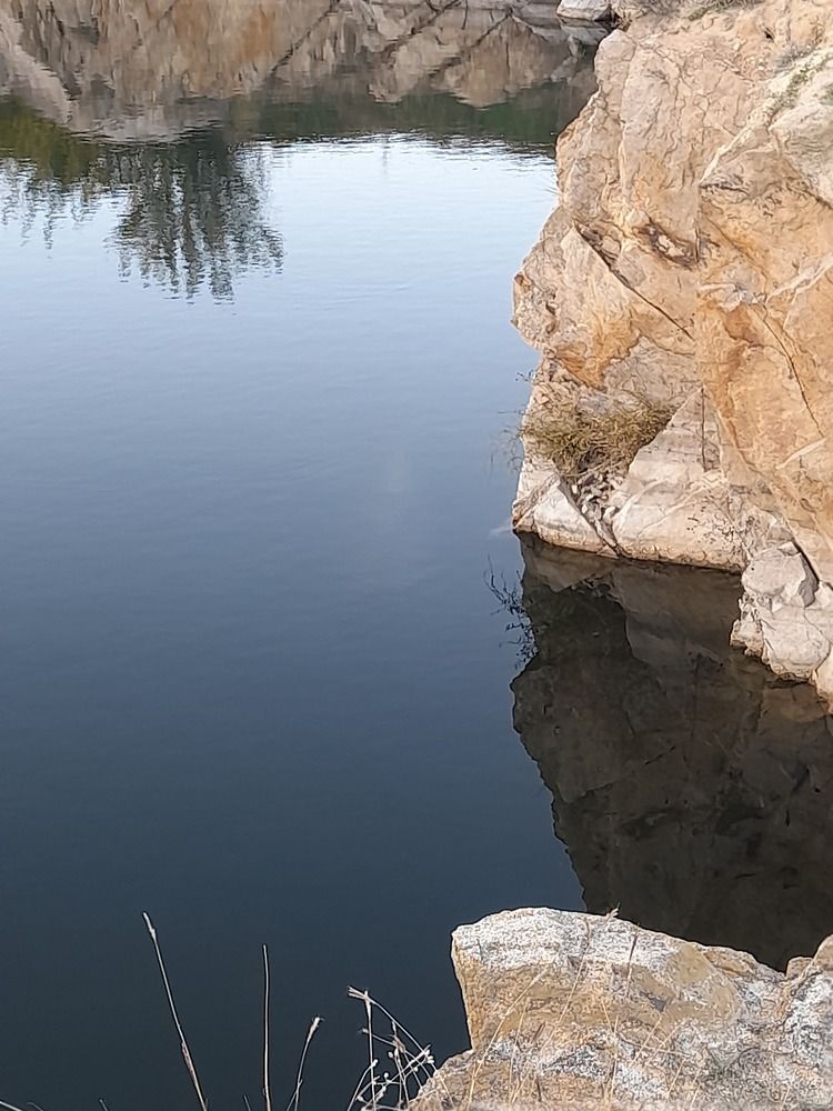 ....face on the water...