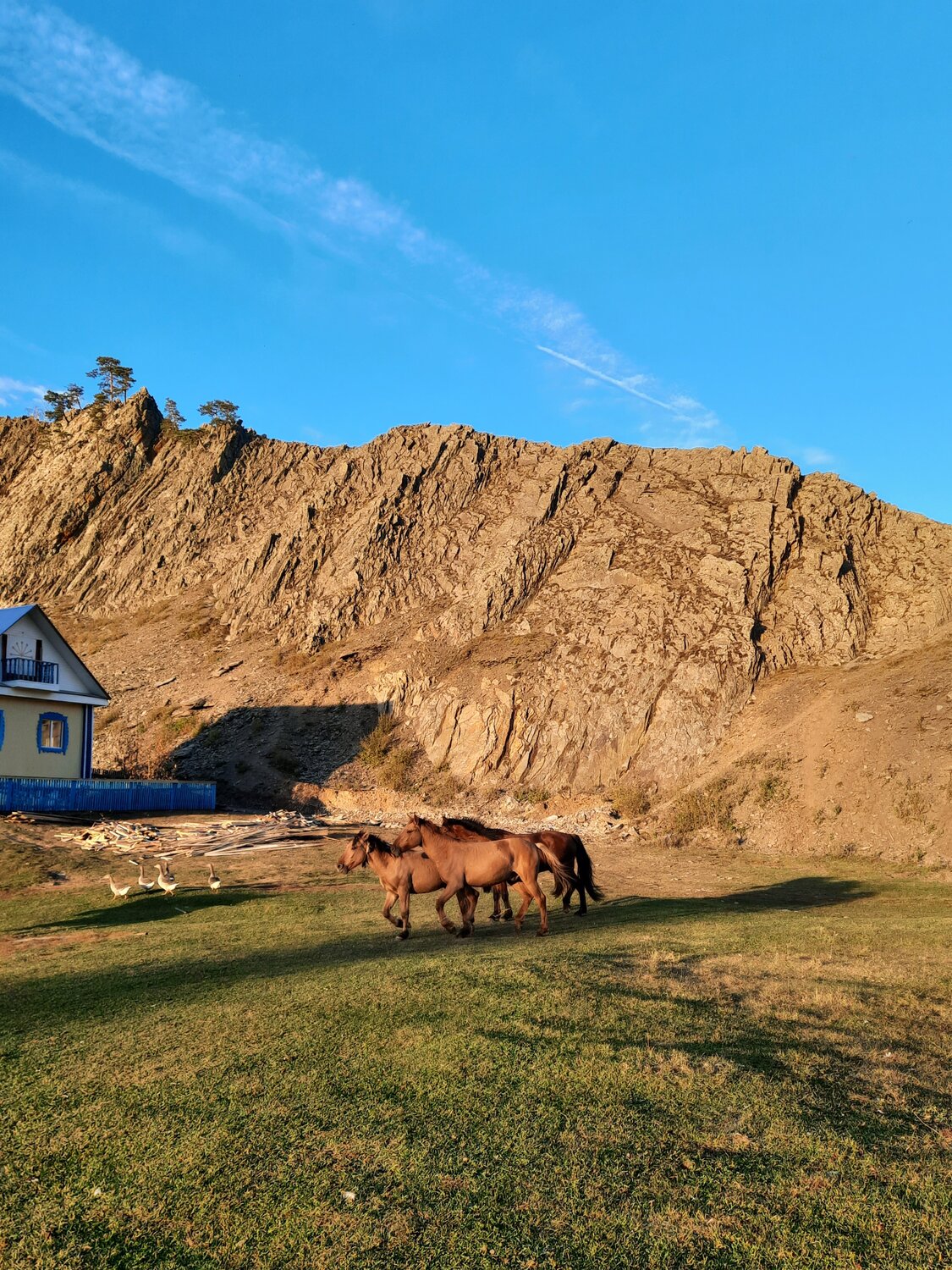 Photo #13345434