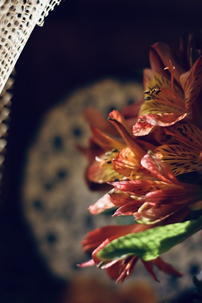 Photograph by Alexandra Ivanchikova