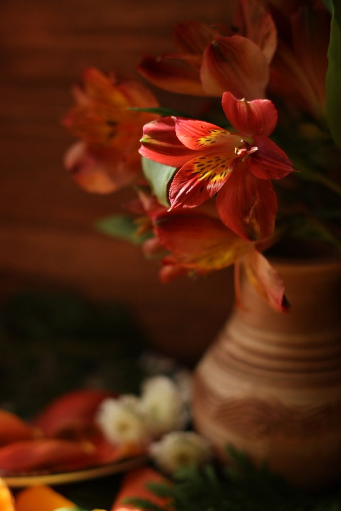 Photograph by Alexandra Ivanchikova