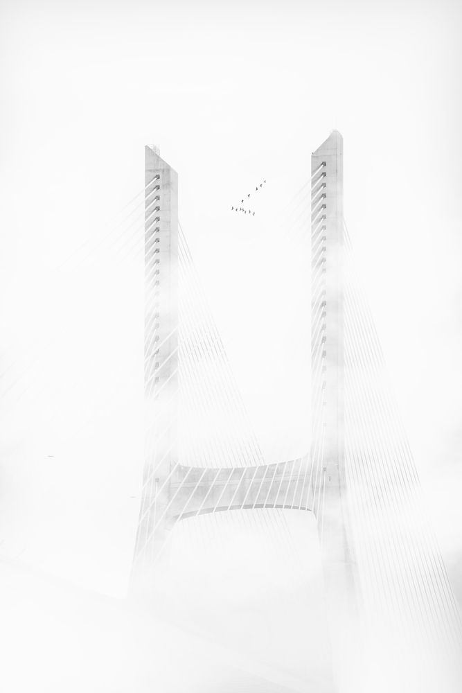 Emergence