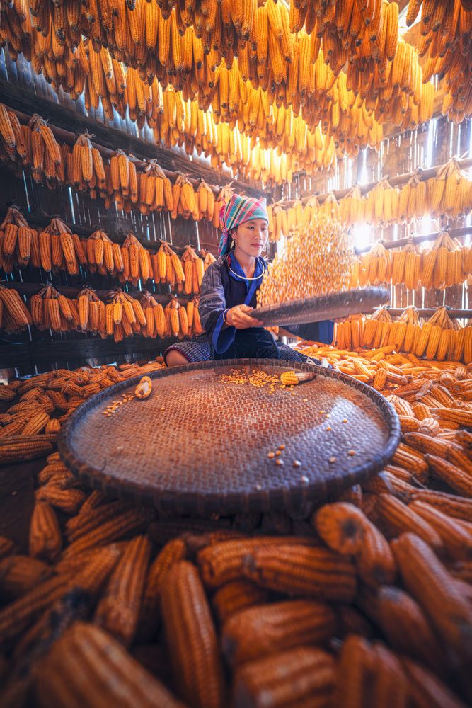 Photograph by Daniel Viñé Garcia
