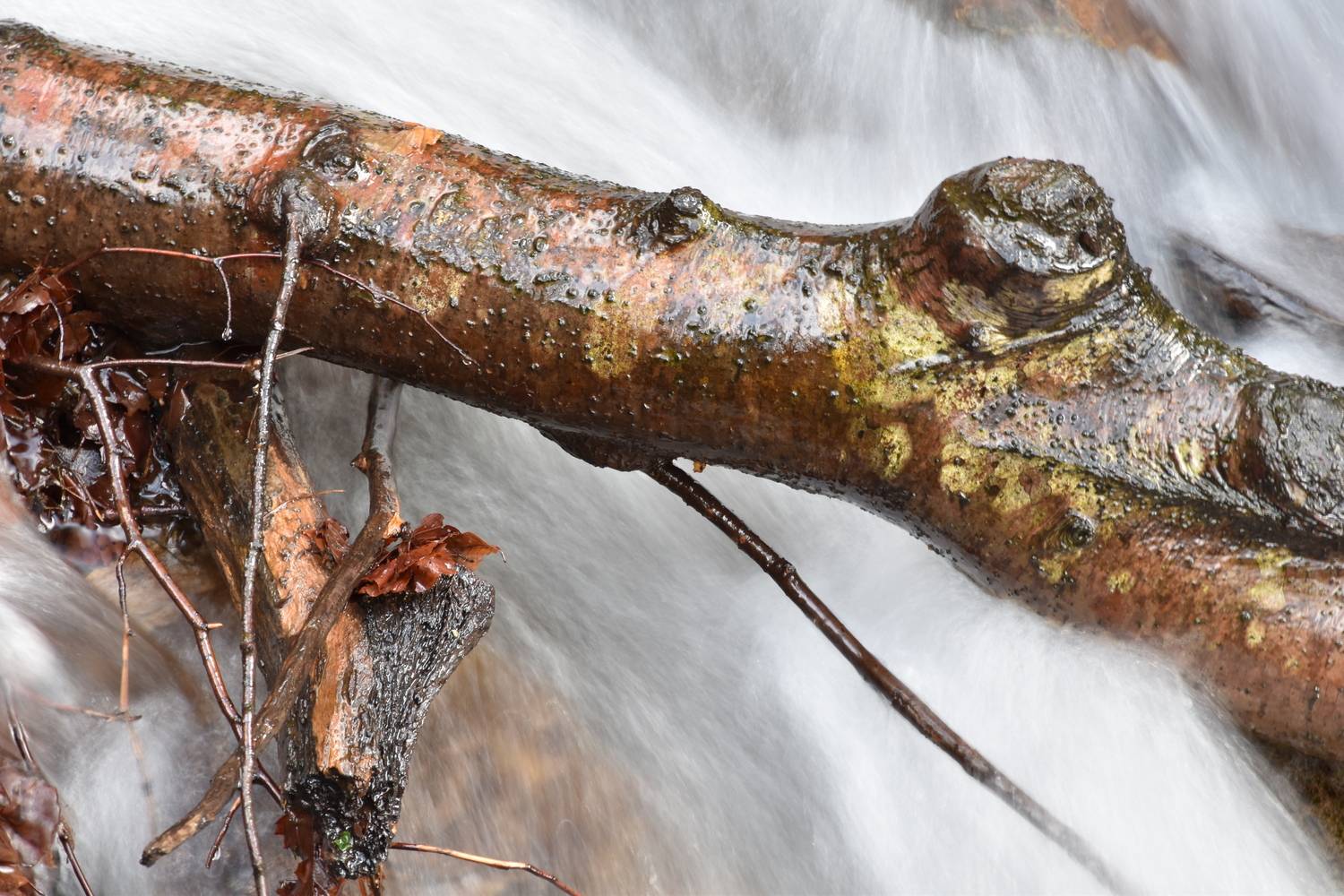 Beauty of nature Beauty of nature