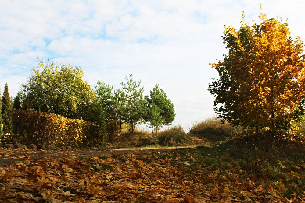 Photograph by Павел Павловский