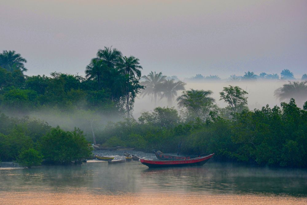 Утренний покой.