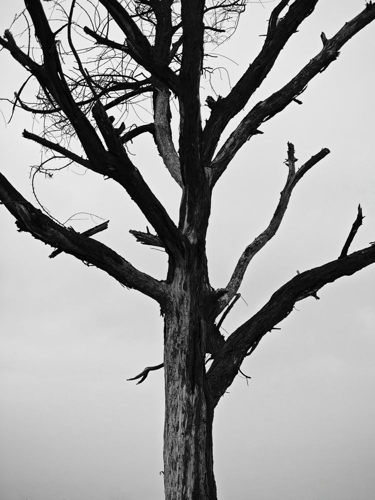 Silence