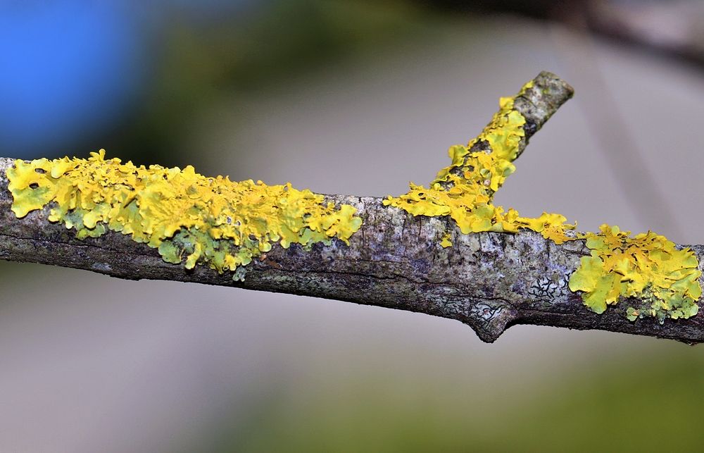 Photograph by Maria Isabel Moreira