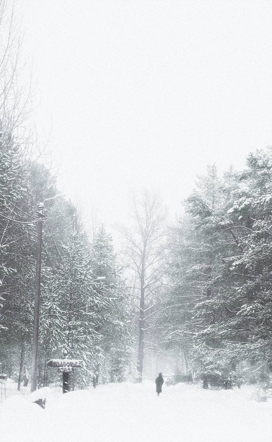 Фотография #13345940