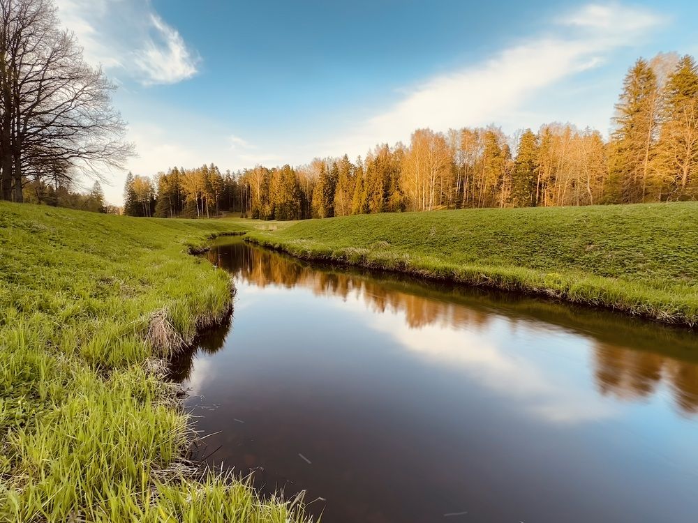 Photograph by наталья ионова