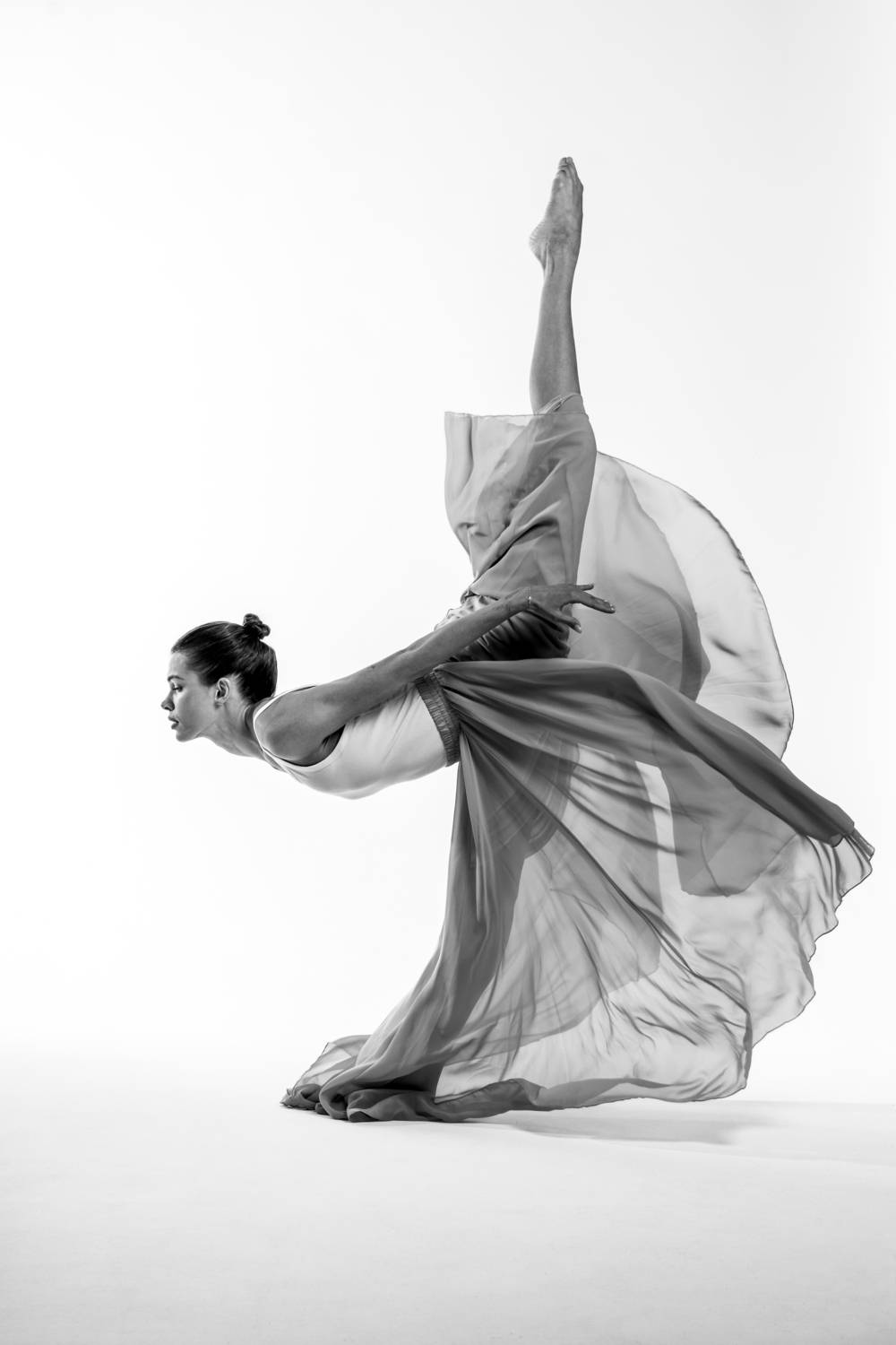 Photo #13346049