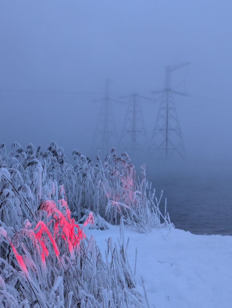 Photograph by Россоловская Евгения