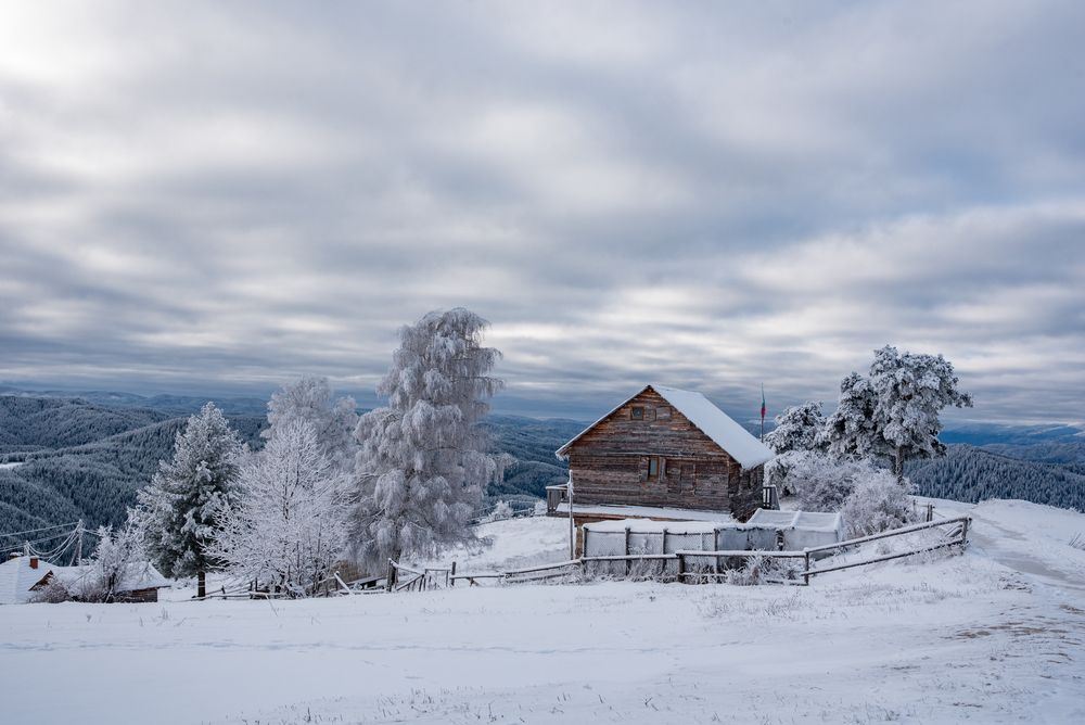 Photograph by Елена Караилиева