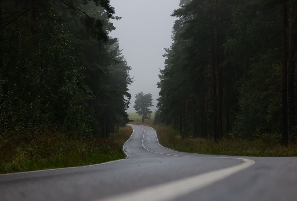Photograph by Анастасия Алтабаева