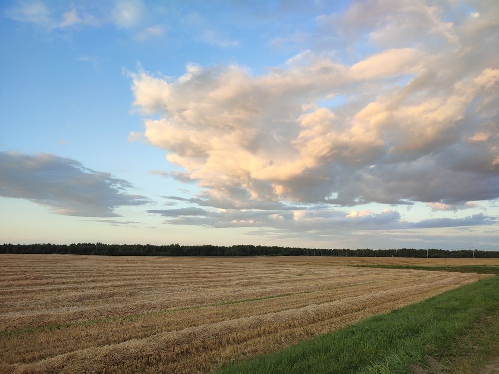 Photograph by Ирина К.