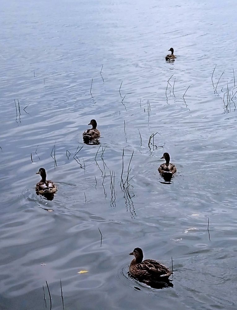 Photograph by Светлана Колбасова