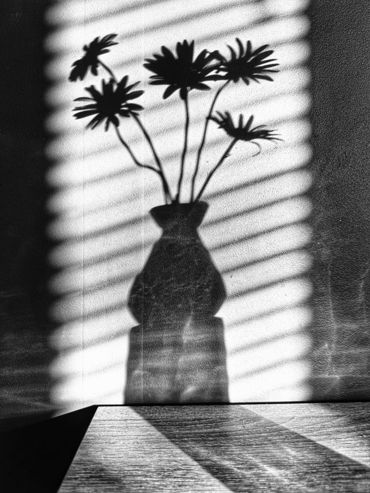 Photograph by Ольга Кудіна