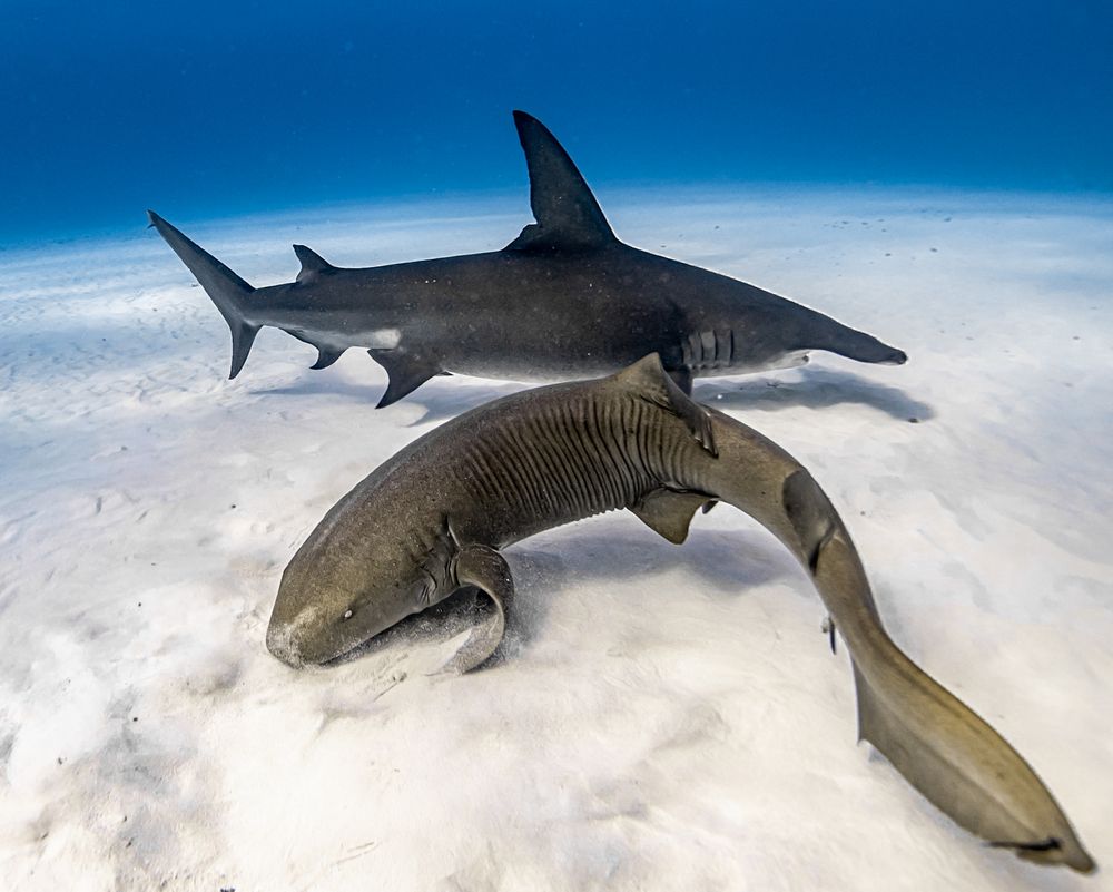 Photograph by mizael palomeque