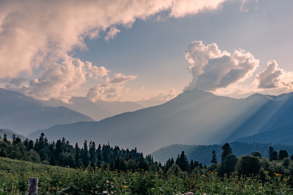 Photograph by Дмитрий Грошиков