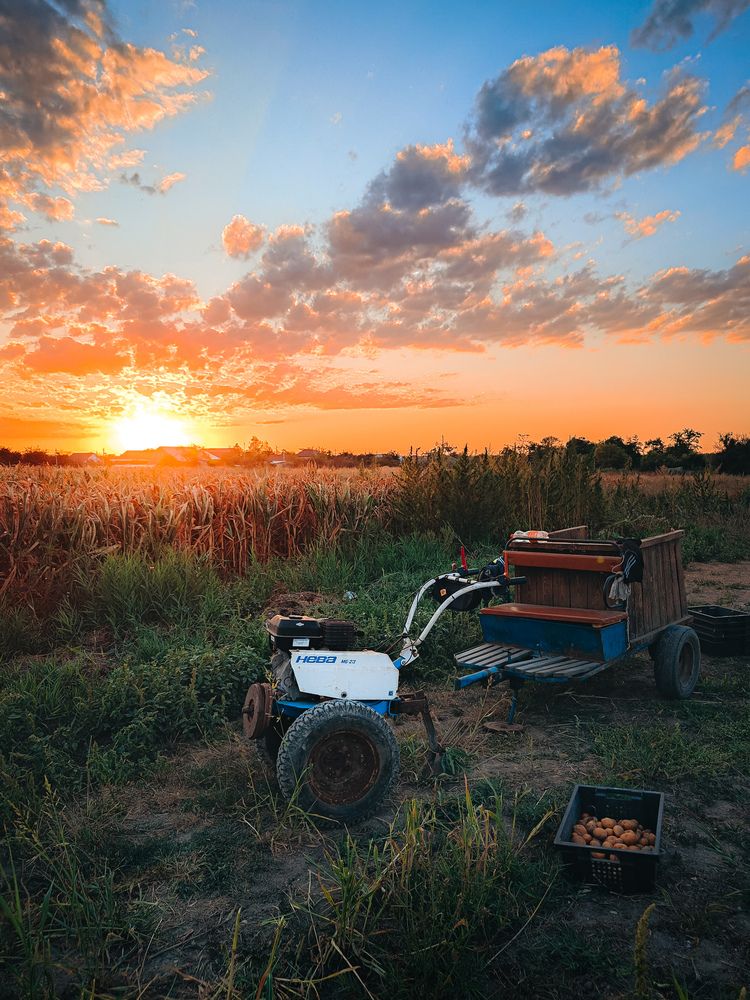 Photograph by Pavel Arseev