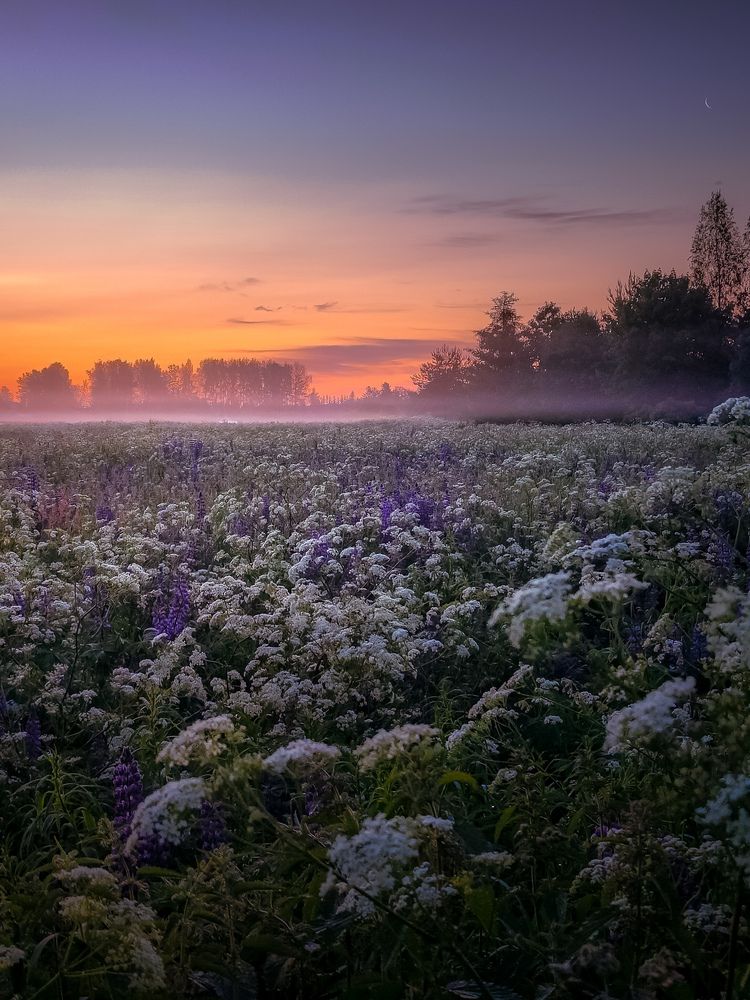Photograph by Pavel Arseev
