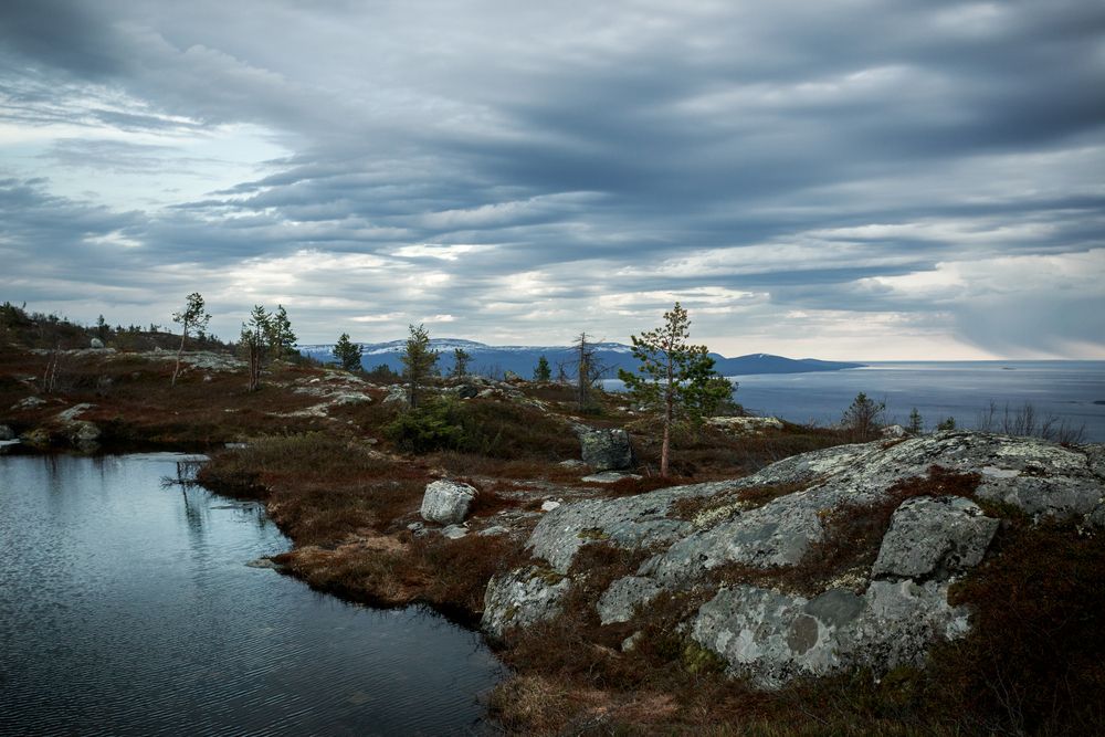 Photo #13346393