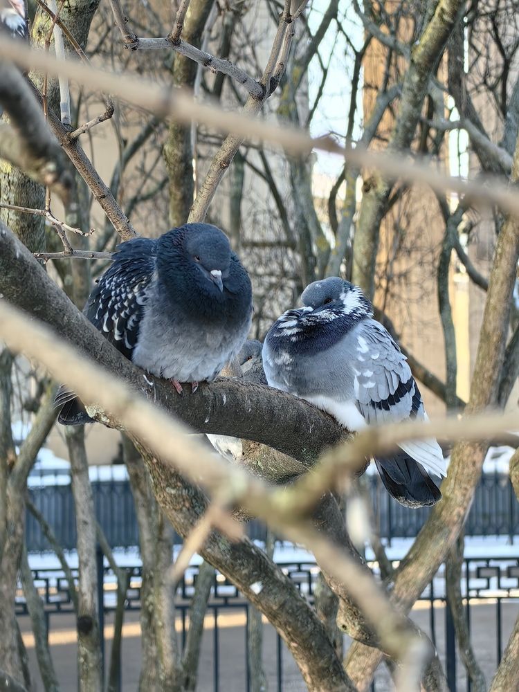 Photograph by Наталья Ермилова