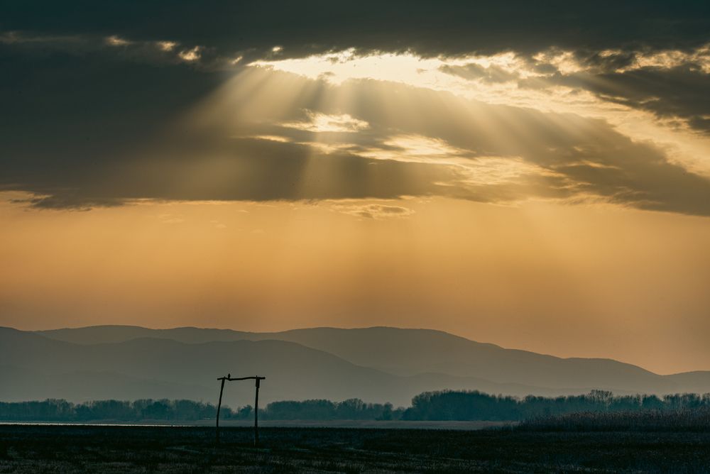 Photograph by Елена Караилиева