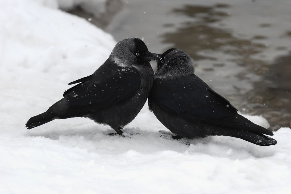 Любовь согревает