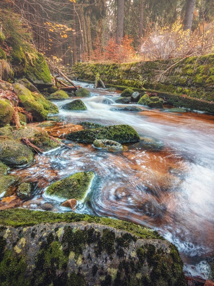 Photograph by Andrii Didushko