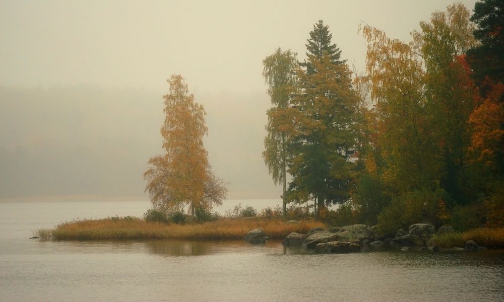 Осень в Монрепо