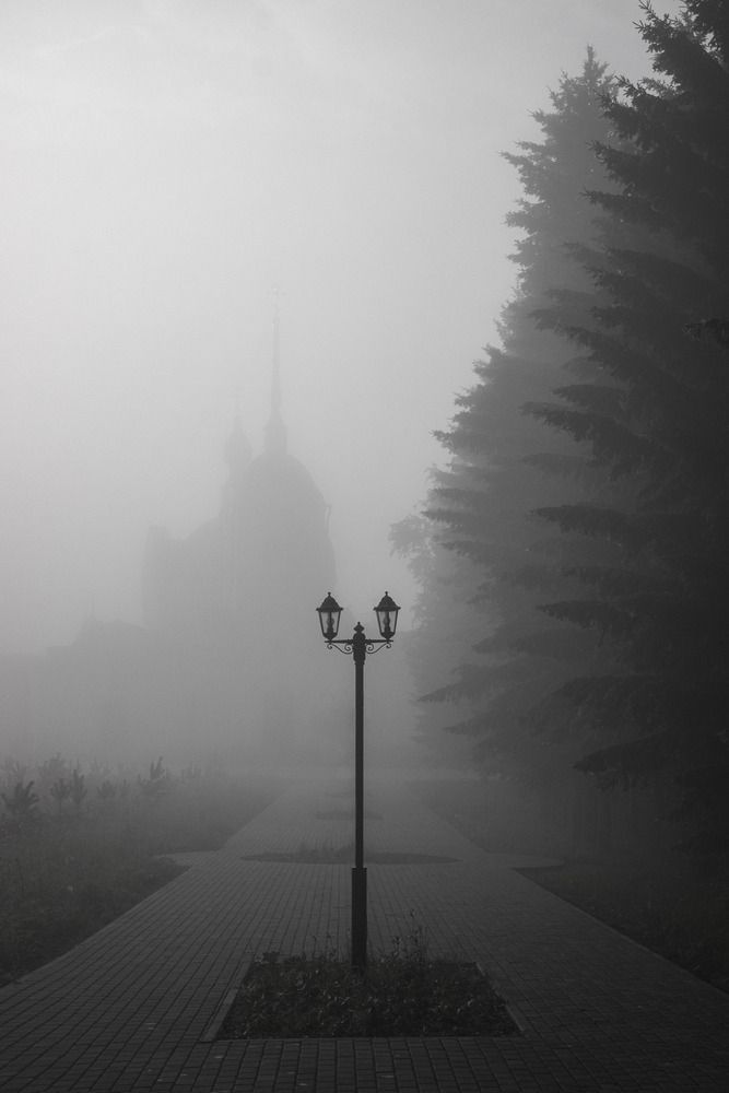 Photograph by Diana Androsova