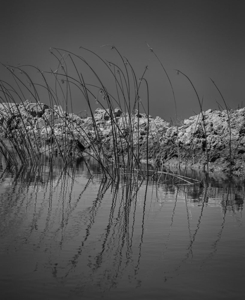 Photograph by hussein najem